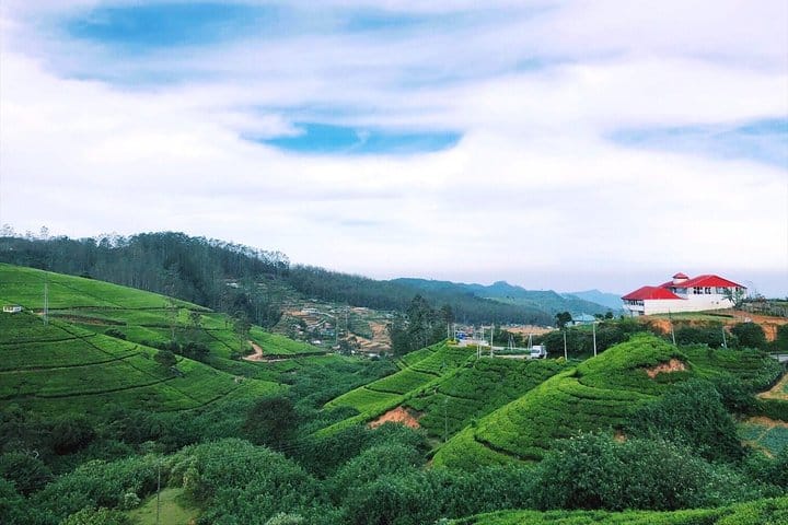 3 Days Glimpse Of Sri Lanka