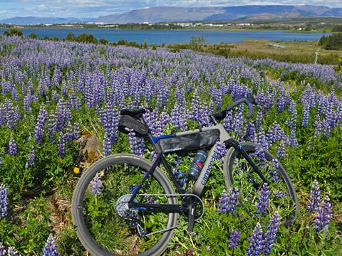 Gravel After Hours - Advanced Private Bike Tour, photo 8