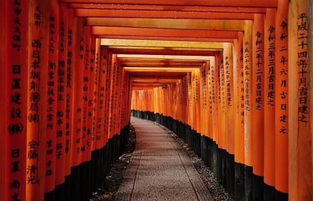 Kyoto Early Morning E Biking Tour Fushimi Inari Kiyomizu Temple