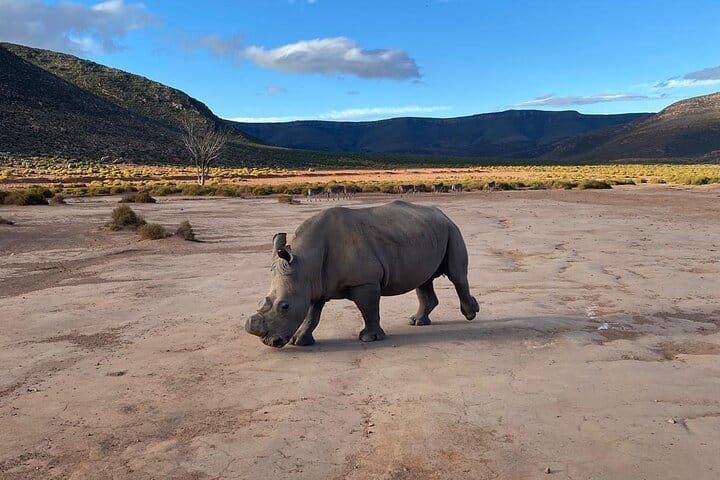 6 Days Garden Route Experience First Splendor & wonders of region