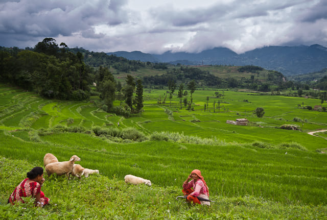 19 Days Mera Peak Climbing & Expedition – One Life-Changing Himalayan Adventure