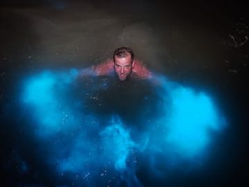 Swim in the Luminous Lagoon