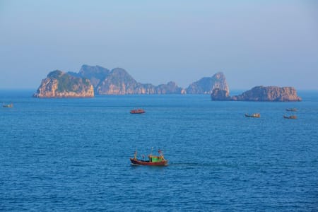 Luxury Iris Cruise in Halong Bay: Explore, Relax, and Indulge