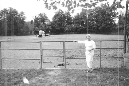 Italy with Rome, Pompeii, Amalfi Coast, Florence, Venice, Pisa