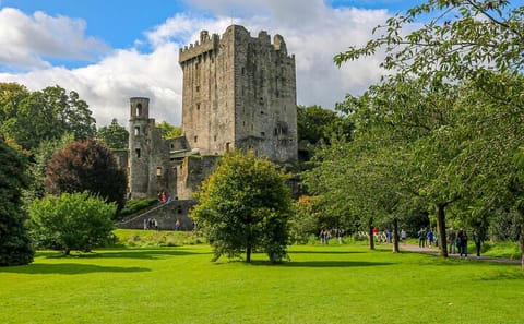 Blarney Castle Day Tour with Transportation from Dublin