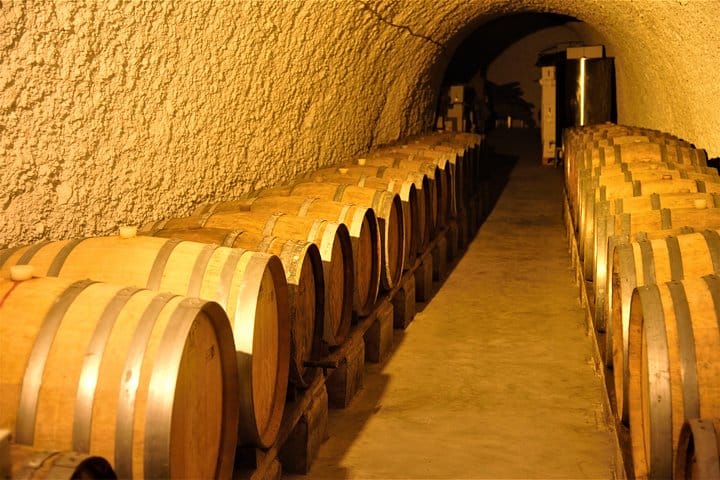 Vip Tour Giza pyramids, sphinx with Camel Ride and Vip lunch