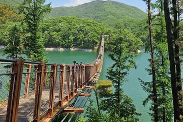 DMZ Tour from Seoul: NK Defector, 3rd Tunnel & Suspension Bridge