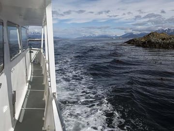 Sailing Tour of Beagle Channel from Ushuaia, Argentina