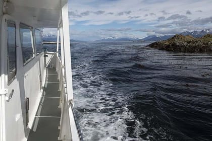 Beagle Channel Yacht Sailing Tour from Ushuaia