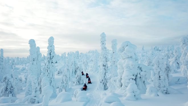 Escape to Wilderness - Full Day Snowmobile Safari in Ylläs