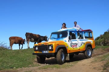 Adventure Tour to Porto Moniz Pools and Fanal in Madeira