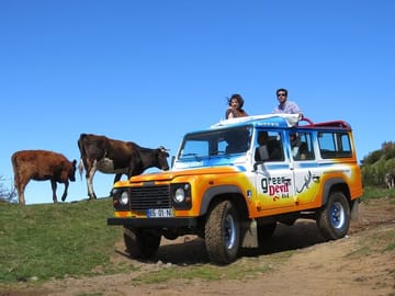 Adventure Tour to Porto Moniz Pools and Fanal in Madeira