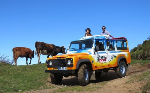 Adventure Tour to Porto Moniz Pools and Fanal in Madeira