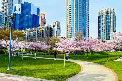 Vancouver City Tour with Cherry Blossom Festival Private