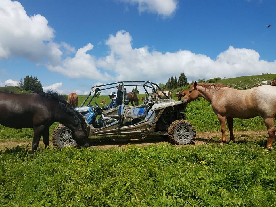 Private Buggy Vineyards Tour 5