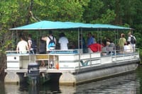 BLACK RIVER SAFARI TOUR
