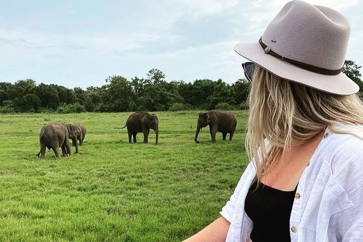 4 Days Tour to Kandy, Sigiriya & Nuwara Eliya