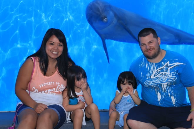 Dolphin Meet N Greet at Gulf World Marine Park photo 4
