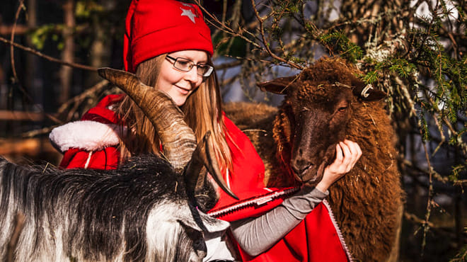 Trip to Arctic Circle, Santa Claus’ Village, Santa’s Reindeer and Elf's Farm Yard - Rovaniemi photo 4