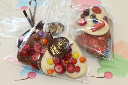 Chocolate workshop with factory tour