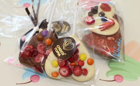 Chocolate Workshop and Factory Tour in Průhonice, Czechia