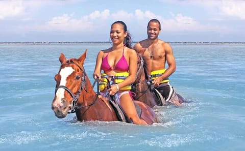 Horseback Riding, Bamboo Rafting, and Limestone Massage in Montego Bay