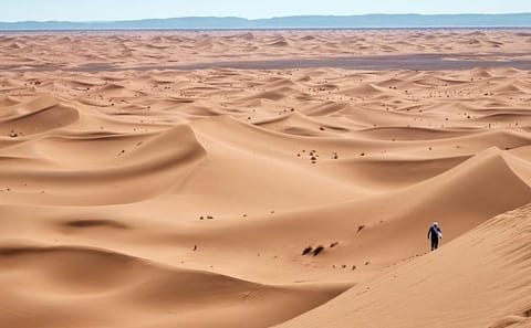 8-Day Morocco Tour: Anti-Atlas and Sahara from Marrakech