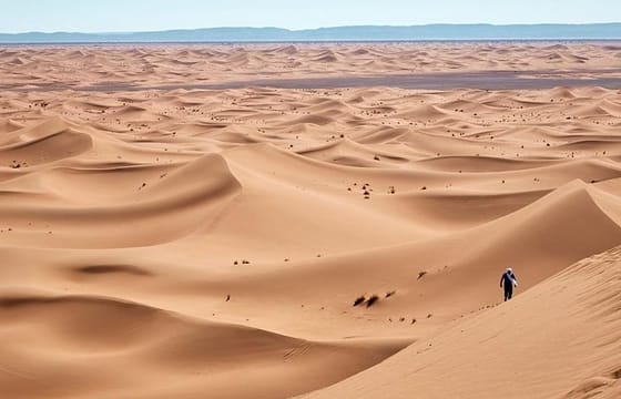 Morocco Anti-Atlas & Sahara 8 Days Tour from Marrakech