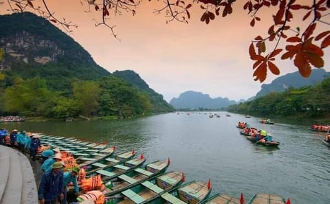 Private Day Tour of Ninh Binh: Hoa Lư, Trang An, Cycling