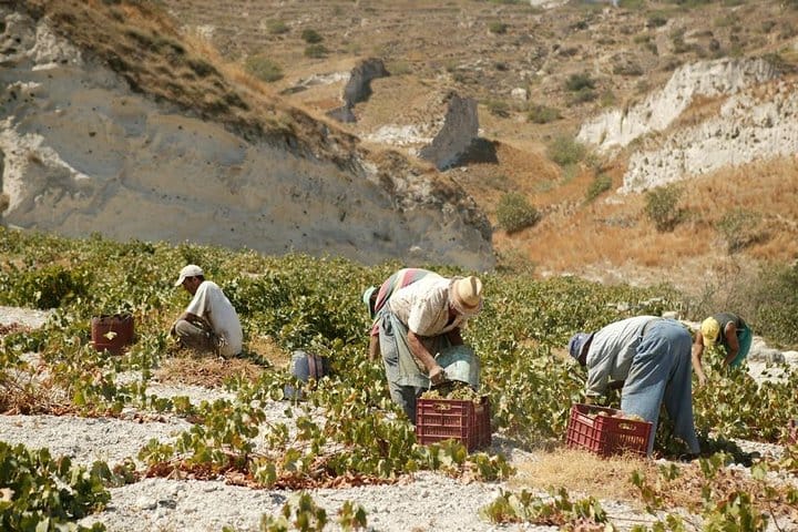 Santorini Highlights and Wine Tasting Private Tour 3
