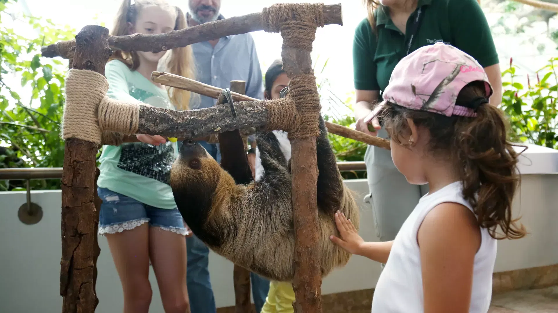 Children watching a keeper present a sloth on a wooden climbing frame at The Green Planet Dubai