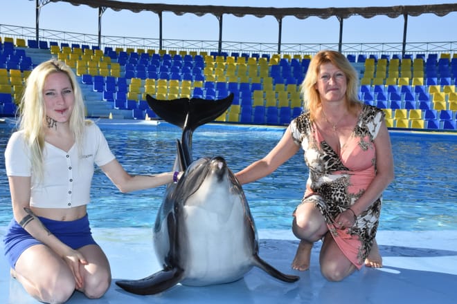 Premium 10 Minutes Dolphin Swimming Experience - Hurghada photo 5