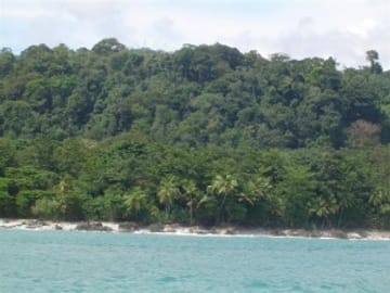 Snorkeling Tour at Caño Island in Costa Rica