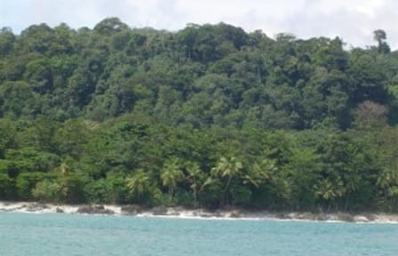 Snorkling  Tour at caño island