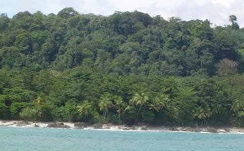 Snorkeling Tour at Caño Island in Costa Rica