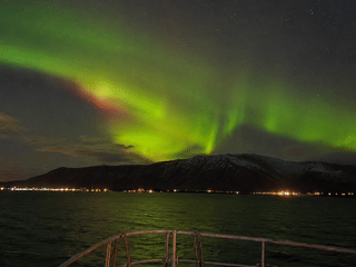 Green Aurora Borealis illuminating the sky and coastline during a Northern Lights boat tour.