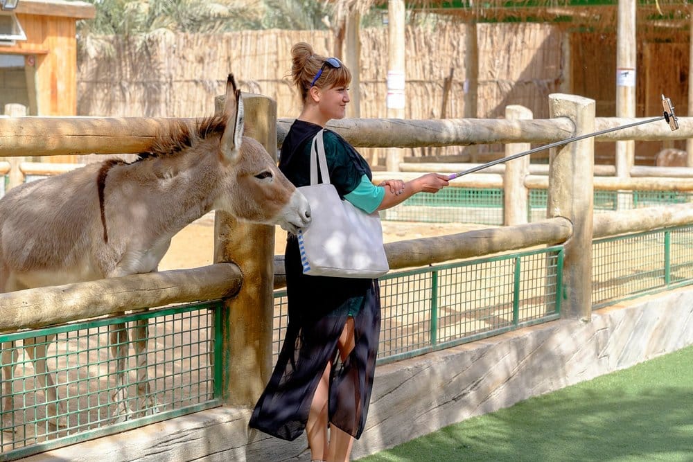Abu Dhabi: Emirates Park Zoo – Interact, Explore, Discover Wildlife!