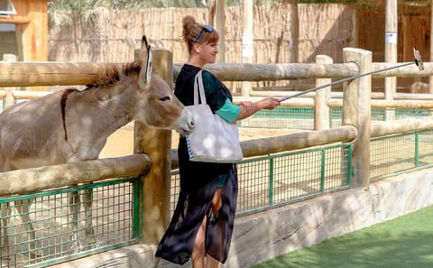 Interact with Wildlife at Emirates Park Zoo in Abu Dhabi