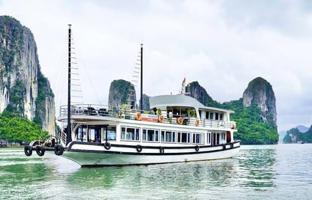 Halong Bay Day Cruise from Hanoi with Kayaking and Cave Visit