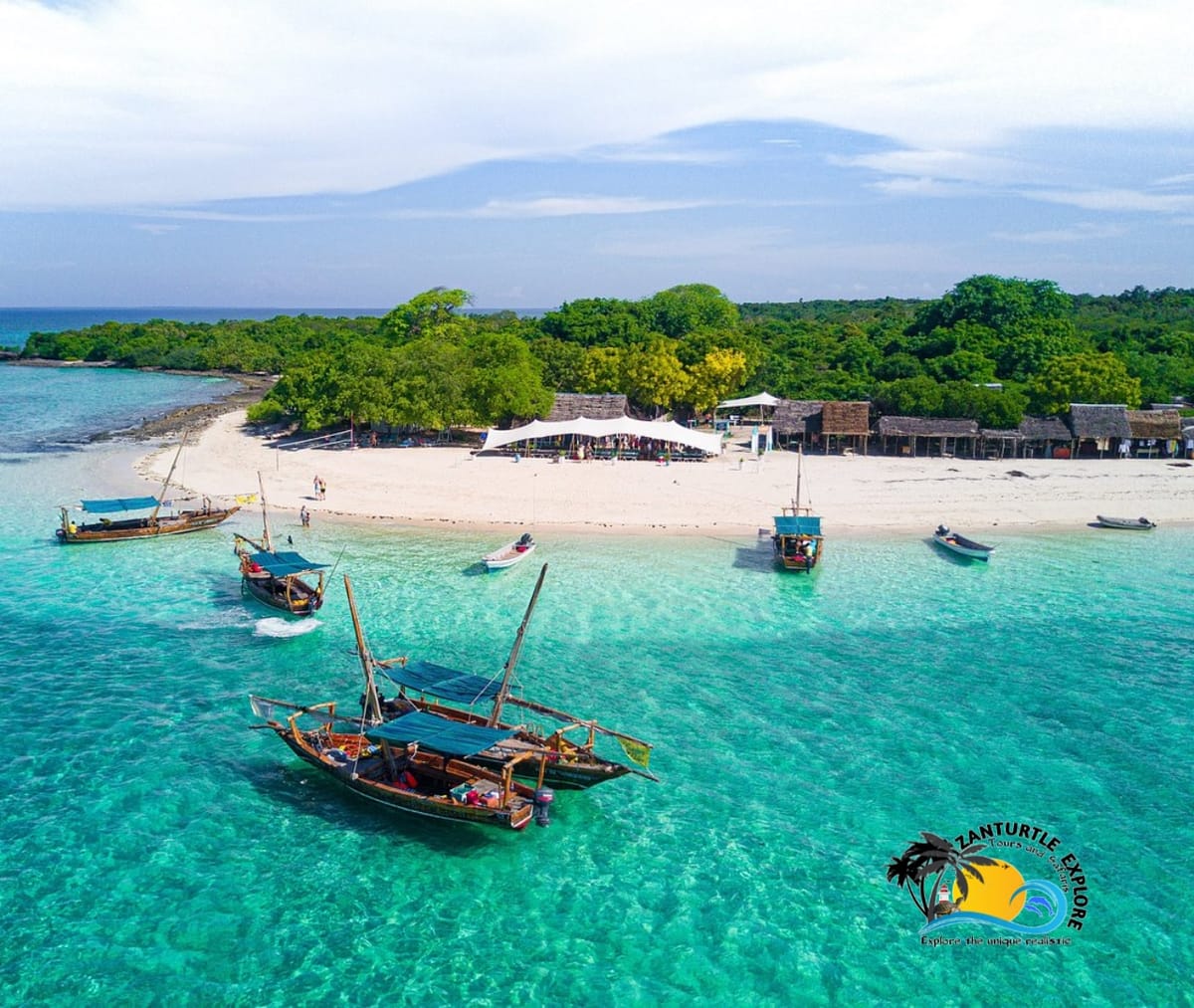 Zanzibar Prison Island Giant Big Tortoise Tour