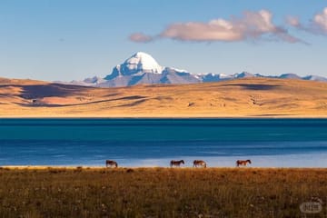 Day Trip to Lake Manasarovar from Darchen with Guided Tour