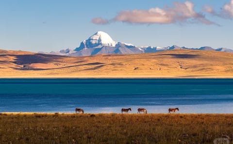 Day Trip to Lake Manasarovar from Darchen with Guided Tour