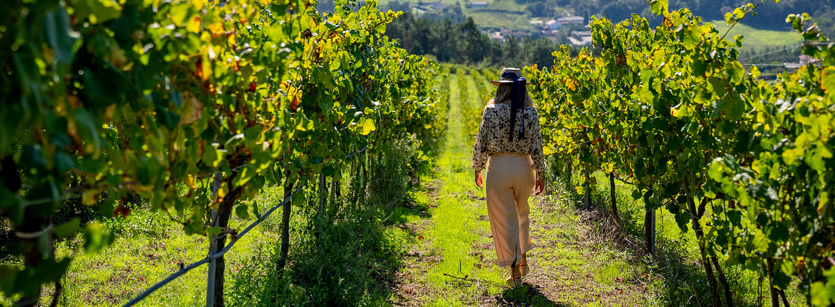 GREEN WINE: Private Tour with Guimarães or Amarante from Porto