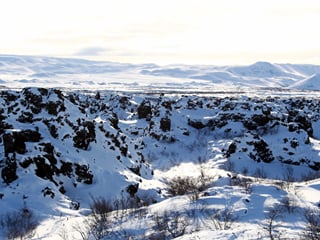 Lake Mývatn and Goðafoss Tour, photo 14