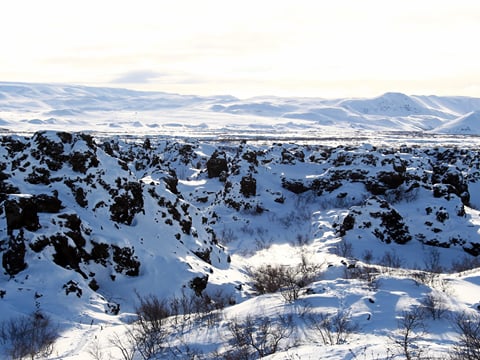 Lake Mývatn and Goðafoss Tour, photo 14