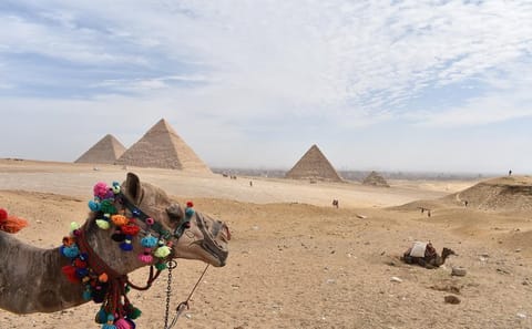 Cairo and Luxor 6-Day Cultural and Historical Tour