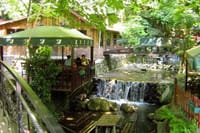 Sapanca and Maşukiye