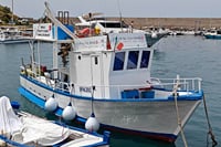 Cefalu: Boat Trip with Fishing, Coastal Tour and Lunch on Board 2