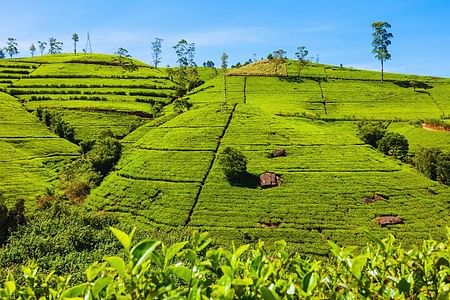 Private Tour for 3 Days (Car or Van)