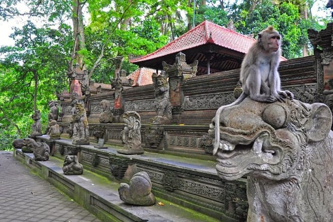 Ubud Private Tour - All Inclusive Premium Experience 4